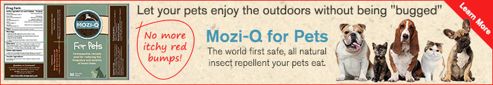 Mozi-Q-comestibles tout-naturel-insectes
