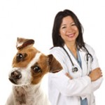 Your Veterinarian:  The Ultimate Vaccine Authority