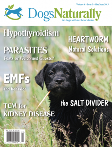 May2013cover