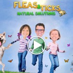 Podcast # 2: Solutions naturelles pour les puces et les tiques (avec Deva Khalsa)