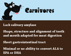 Dogs Carnivores Or Omnivores?
