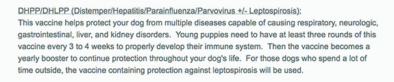 chiens vétérinaire revaccination