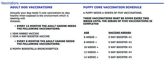 chiens vétérinaire revaccination