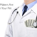 médicaments vétérinaires décideurs et les animaux domestiques