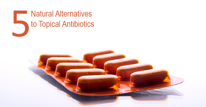 naturelles alternatives aux antibiotiques chiens
