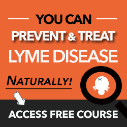De la maladie de Lyme chiens