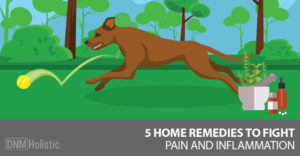 home remedies for dog sprains and strains