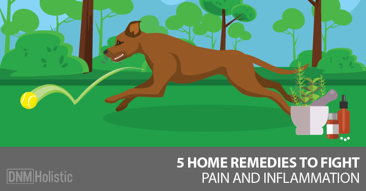 Remedies for Dogs Sprains and Strains