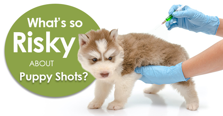 puppy vaccination risks