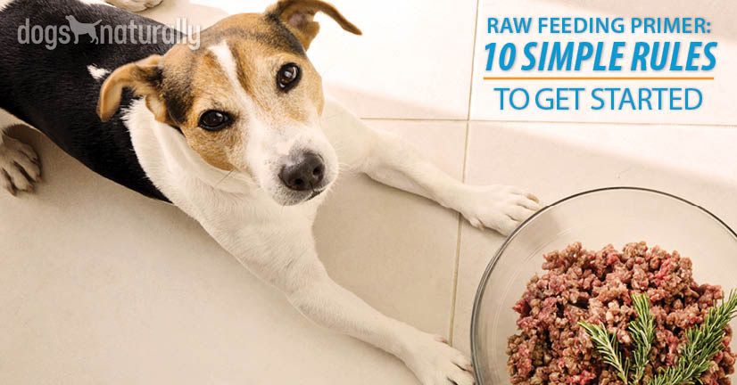 Raw Feeding Primer 10 Simple Rules To Get Started