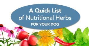 nutritional herbs for dogs