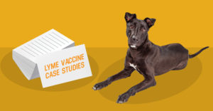 Dog laying down next to stack of papers with title lyme vaccine case studies