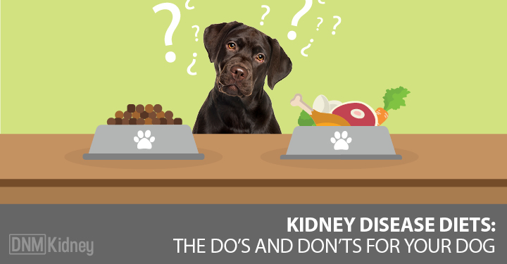 canine diet for kidney failure