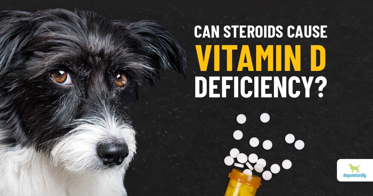 what causes vitamin d deficiency in dogs