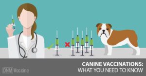 vaccine reactions in dogs