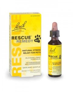 Rescue dog remedy containing bach flowers