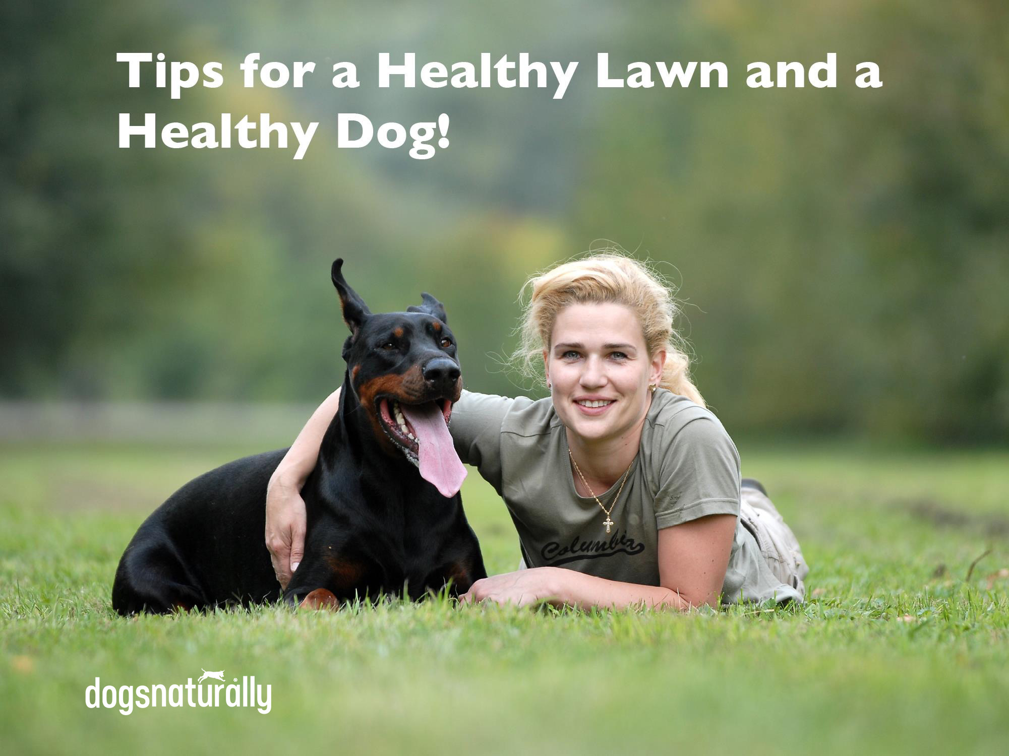 Lawn Chemicals And Cancer In Dogs