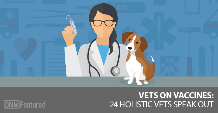 vets near me for shots