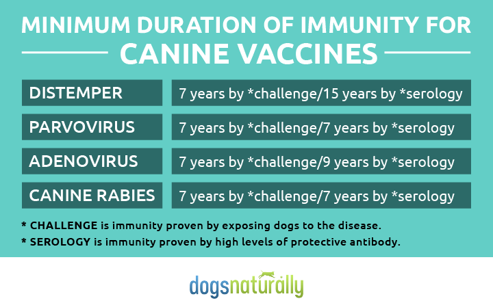 Table with minimum duration of immunity for dog vaccines