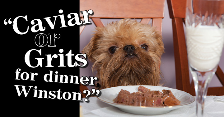 switching dog to raw food diet