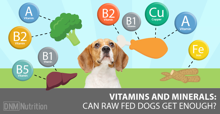 vitamins and minerals for raw fed dogs