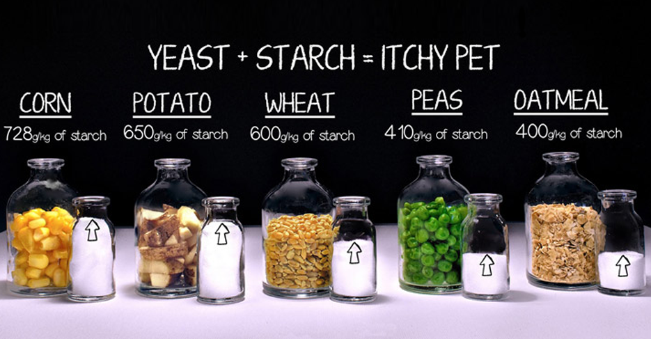 Dog Food Rating Chart 2013
