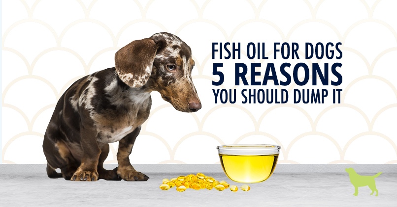 dog food without fish oil