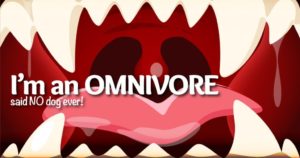 is a dog a carnivore or an omnivore