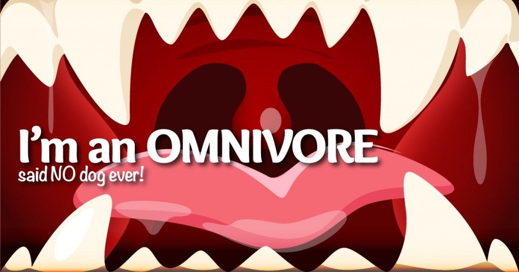 The Great Debate: Omnivore Or Carnivore?