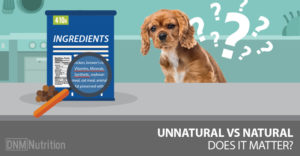Dog next to bag of dog food that contains synthetic vitamins and minerals