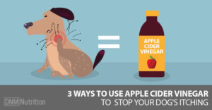 Dog scratching next to bottle of apple cider vinegar