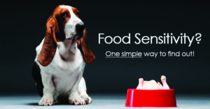 how to test your dog for food allergies