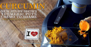 curcumin for cancer in dogs