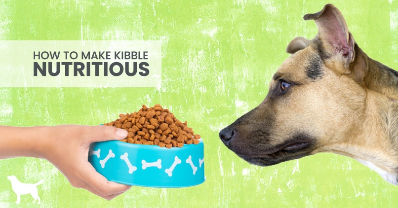 raw food mixed with kibble