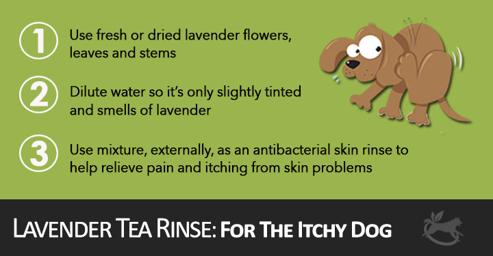 Relieve Your Dog's Pain and Itching!