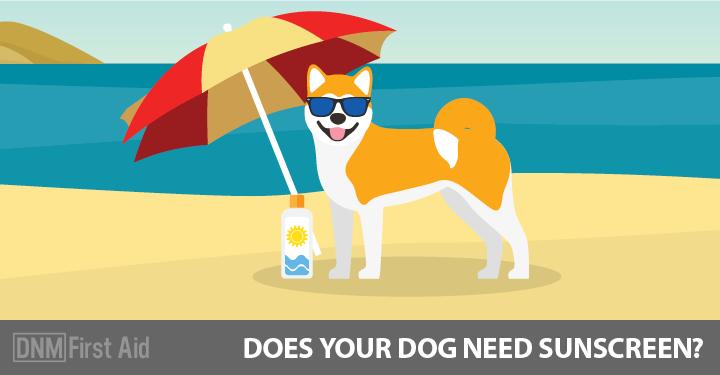 best sunscreen for white dogs
