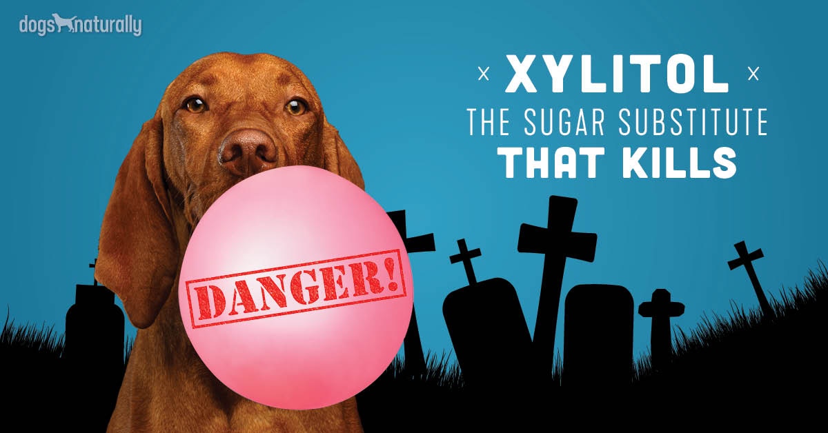 What’s So Dangerous About Xylitol For Dogs?