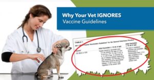 over vaccination in dogs