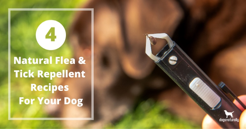 natural flea and tick repellent for puppies