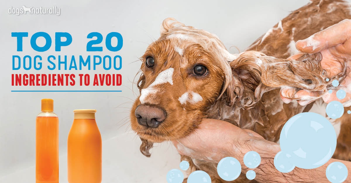 20 Dog Shampoo Ingredients To Avoid 