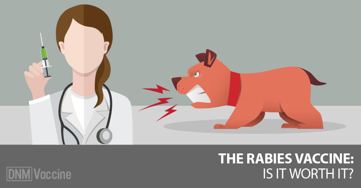 Rabies Vaccination Can Cause Rabies Symptoms In Dogs