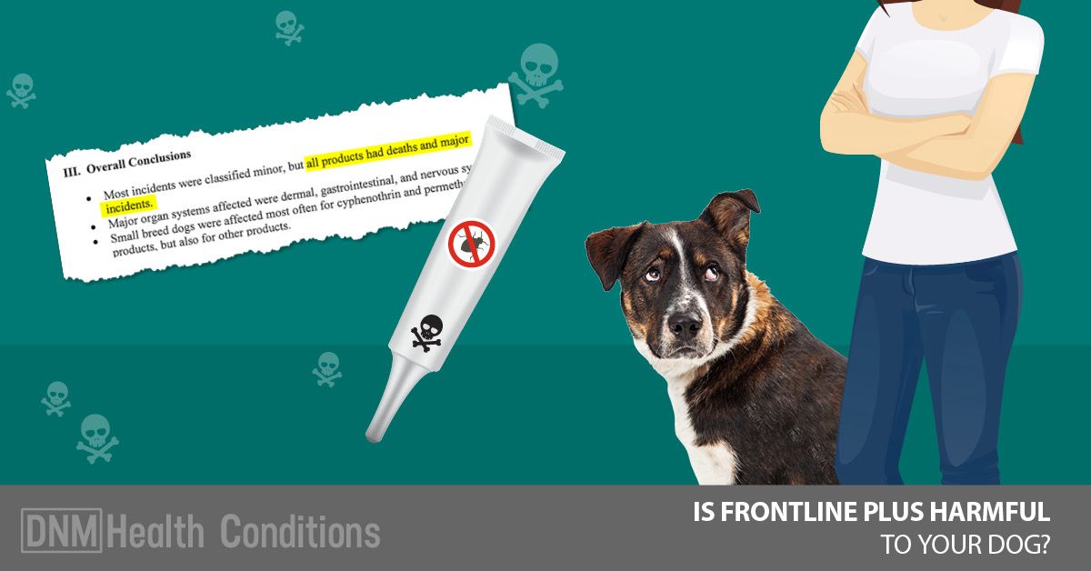 Is Frontline Plus For Dogs Harmful?