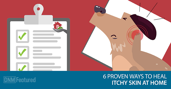 itchy skin treatment for dogs