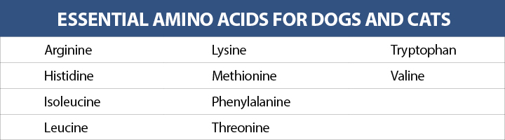 Table with essential amino acids for dogs and cats