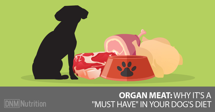 raw organ meat for dogs
