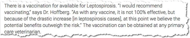 Recommendation of vaccinating against lepto in dogs