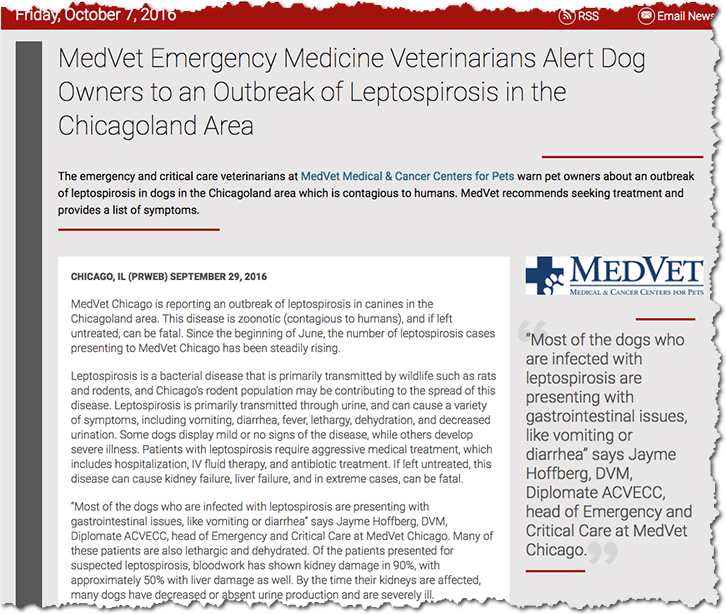 MedVet article on lepto outbreak in dogs