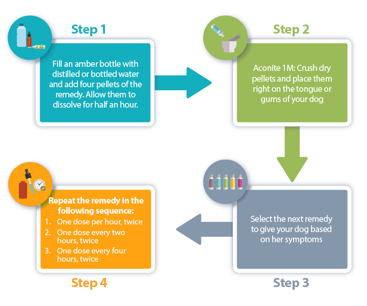 4 steps on how to give dogs Aconite for pyometra