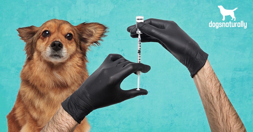 Extreme strange possible rabies vaccination side effect