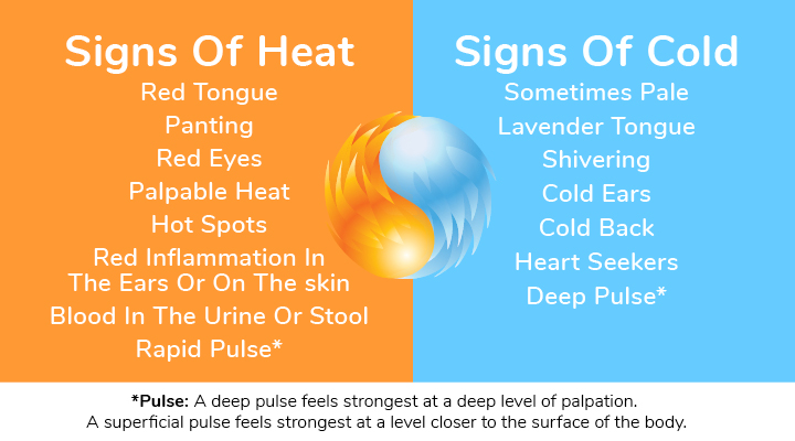 Signs of heat and cold in dogs